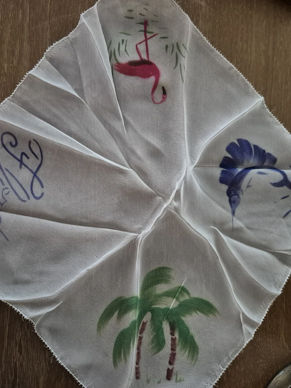 Vintage Hand Painted Florida Handkerchiefs Set - Chiffon Pink & White